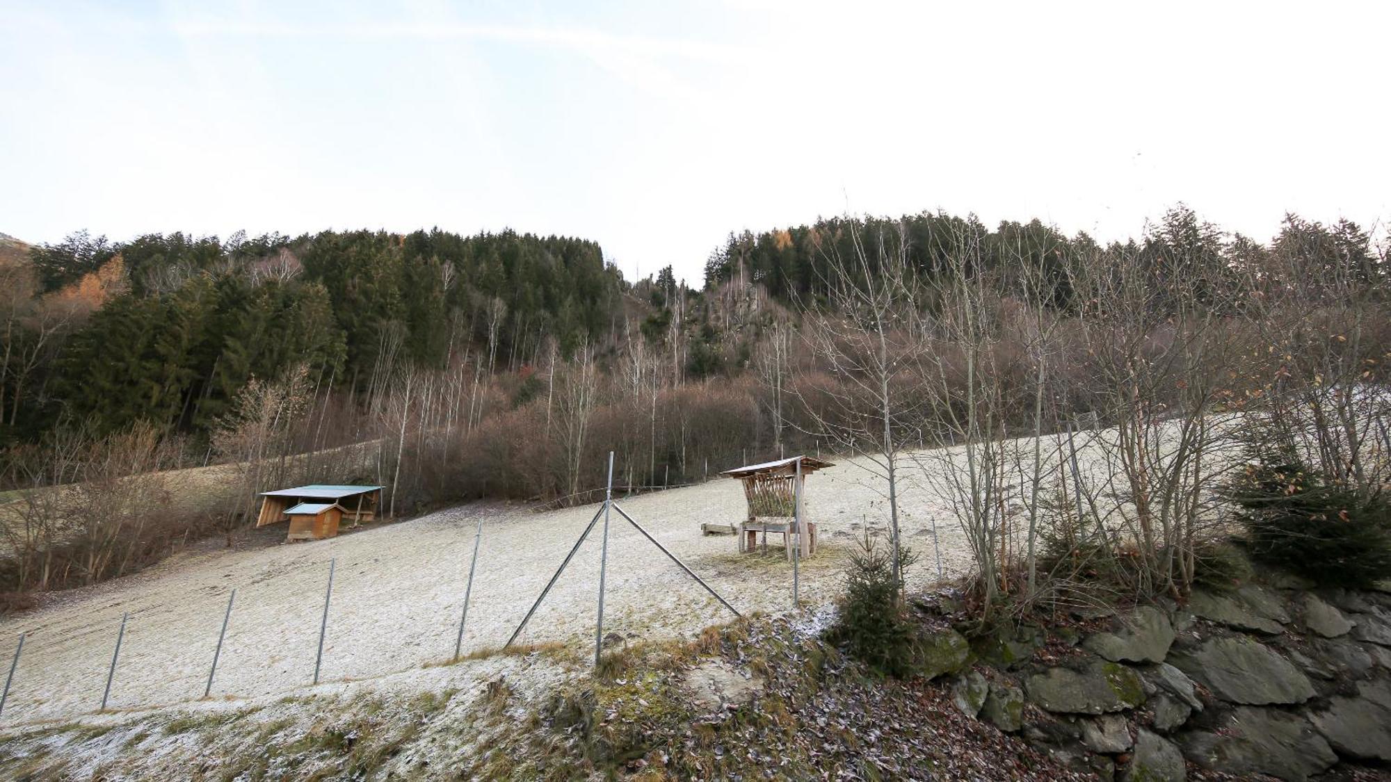 Hochfeldhof Apartment Zell am Ziller Phòng bức ảnh